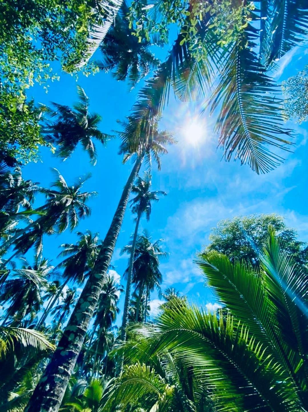 Suan Maprao Ko Kut Resort Exteriér fotografie