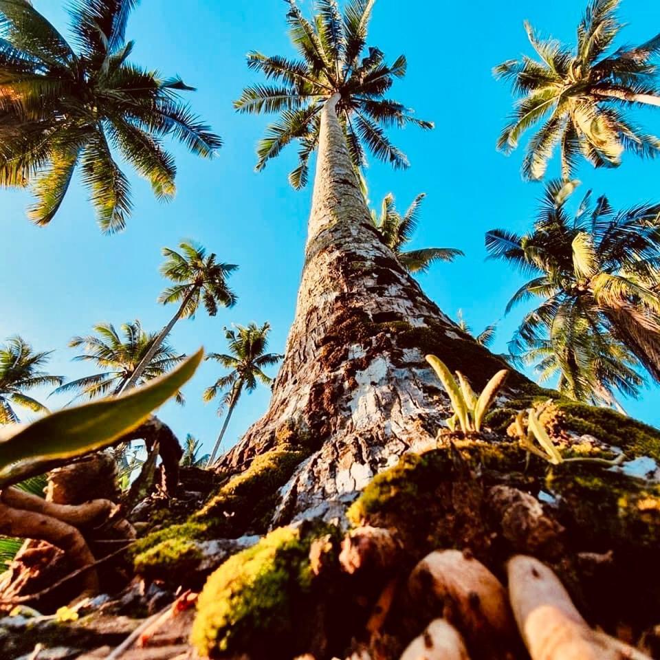Suan Maprao Ko Kut Resort Exteriér fotografie