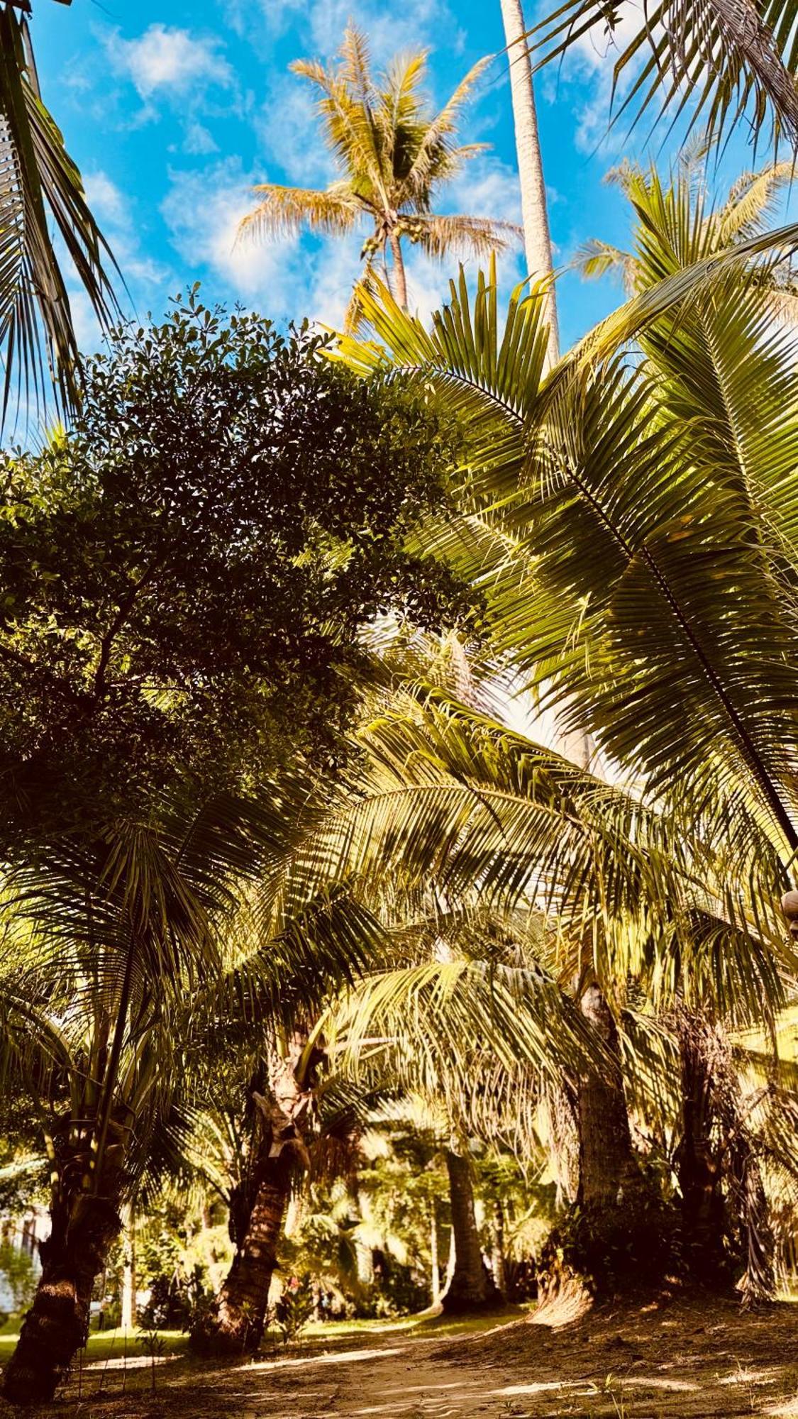 Suan Maprao Ko Kut Resort Exteriér fotografie