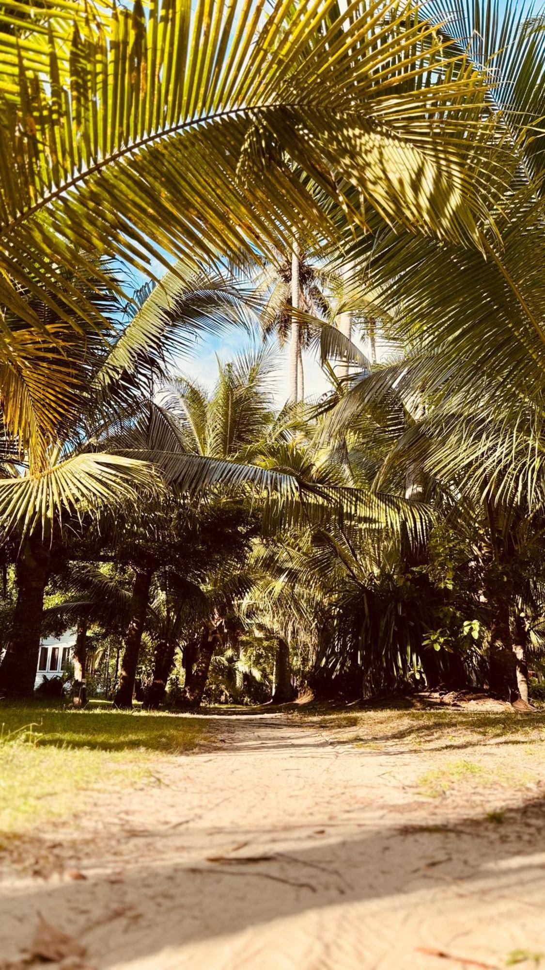 Suan Maprao Ko Kut Resort Exteriér fotografie