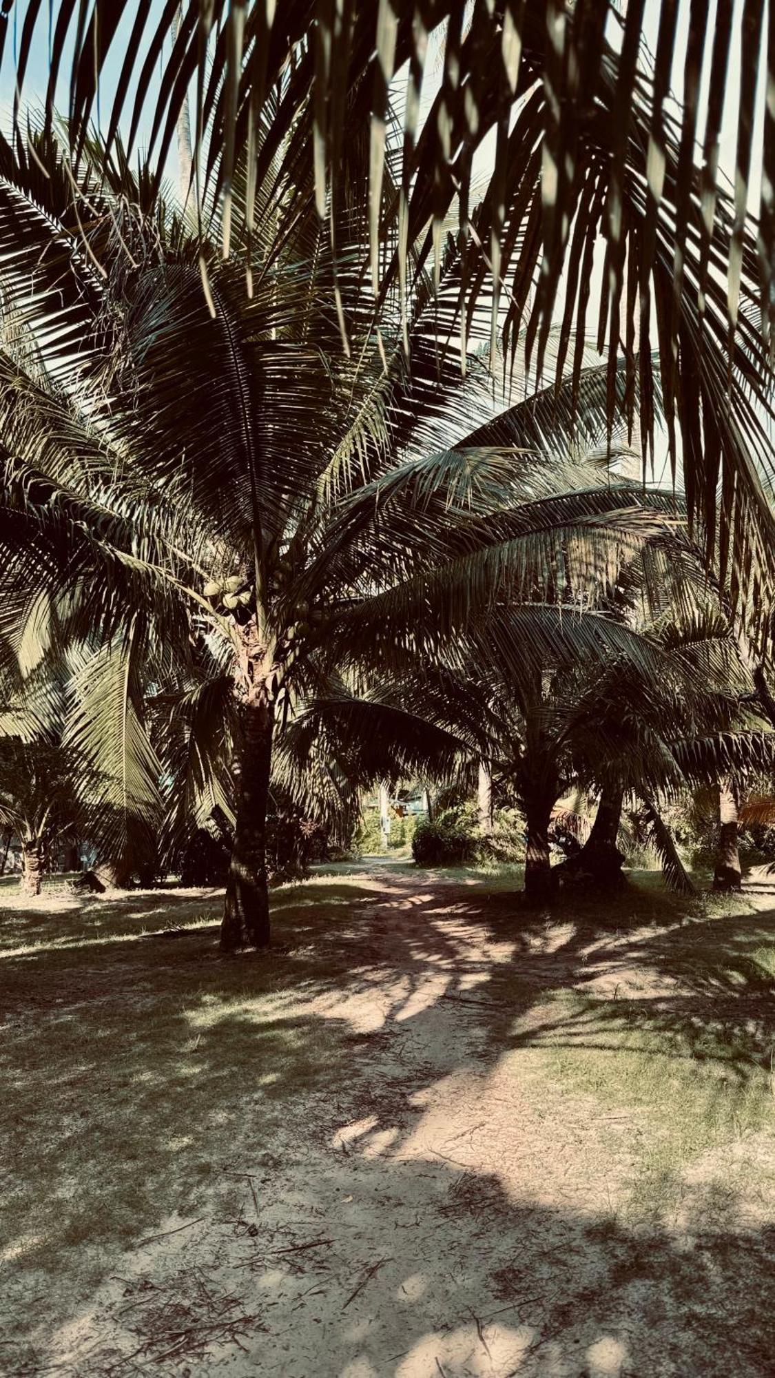 Suan Maprao Ko Kut Resort Exteriér fotografie