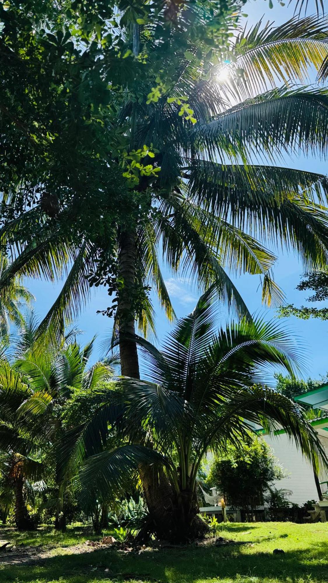 Suan Maprao Ko Kut Resort Exteriér fotografie